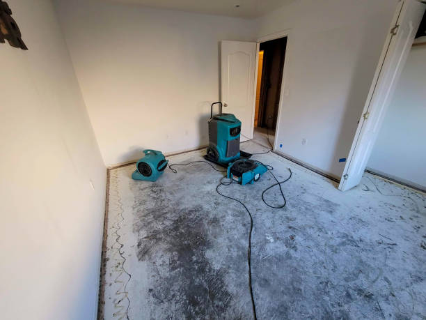 Best Water damage restoration company  in Valinda, CA