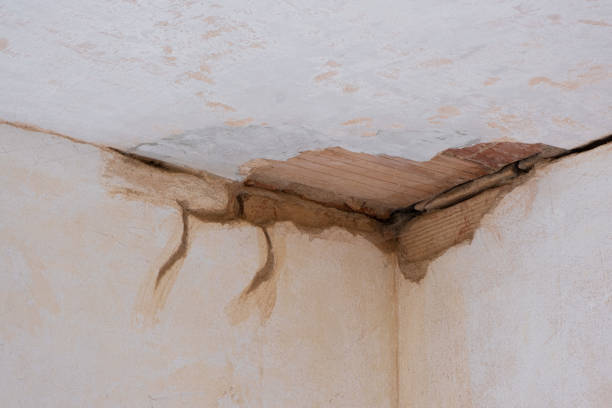 Best Water damage cleanup near me  in Valinda, CA