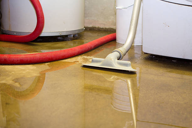 Best Water damage restoration near me  in Valinda, CA